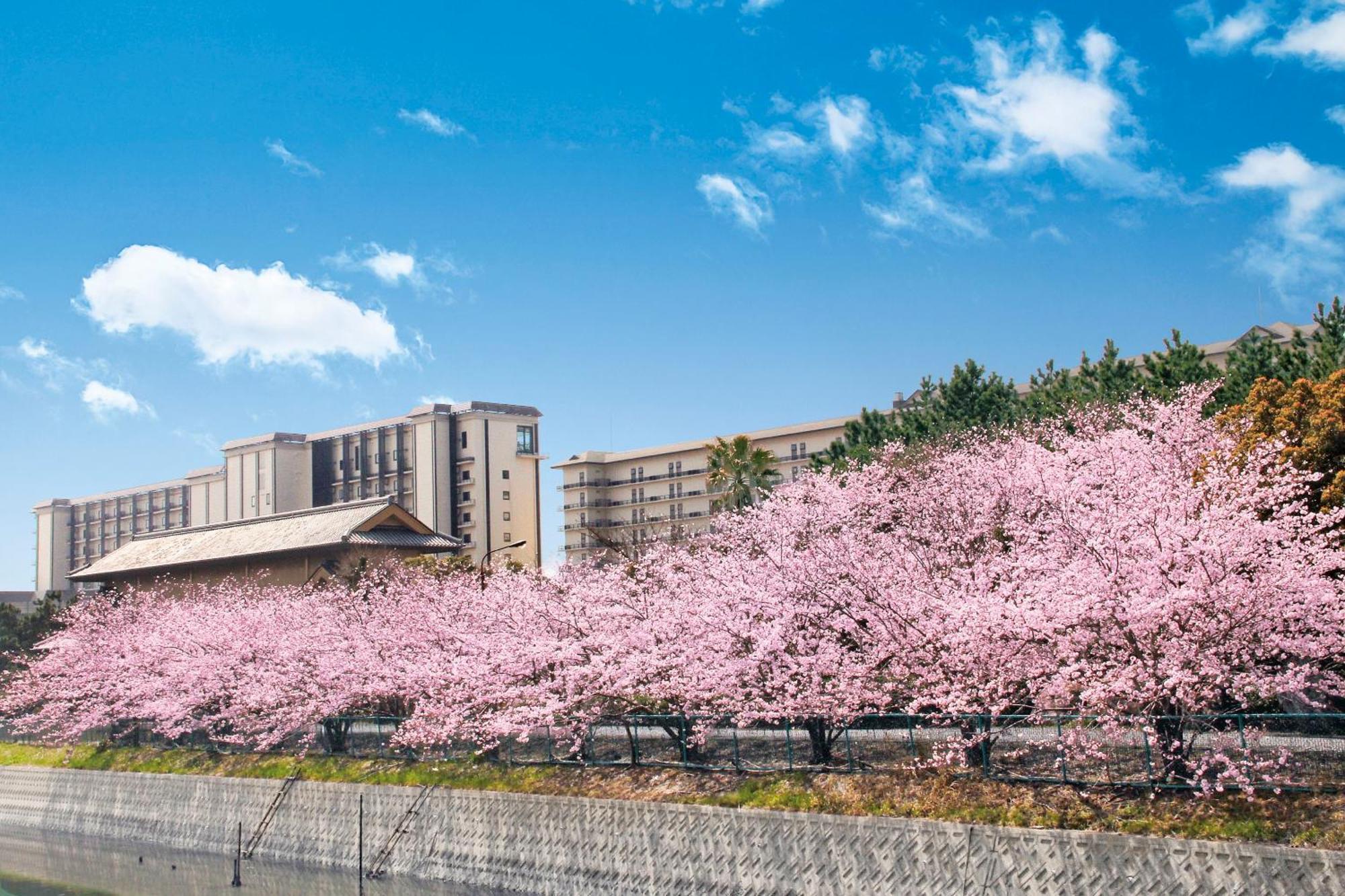 Ryugujo Spa Hotel Mikazuki Fujimitei Kisarazu Eksteriør bilde